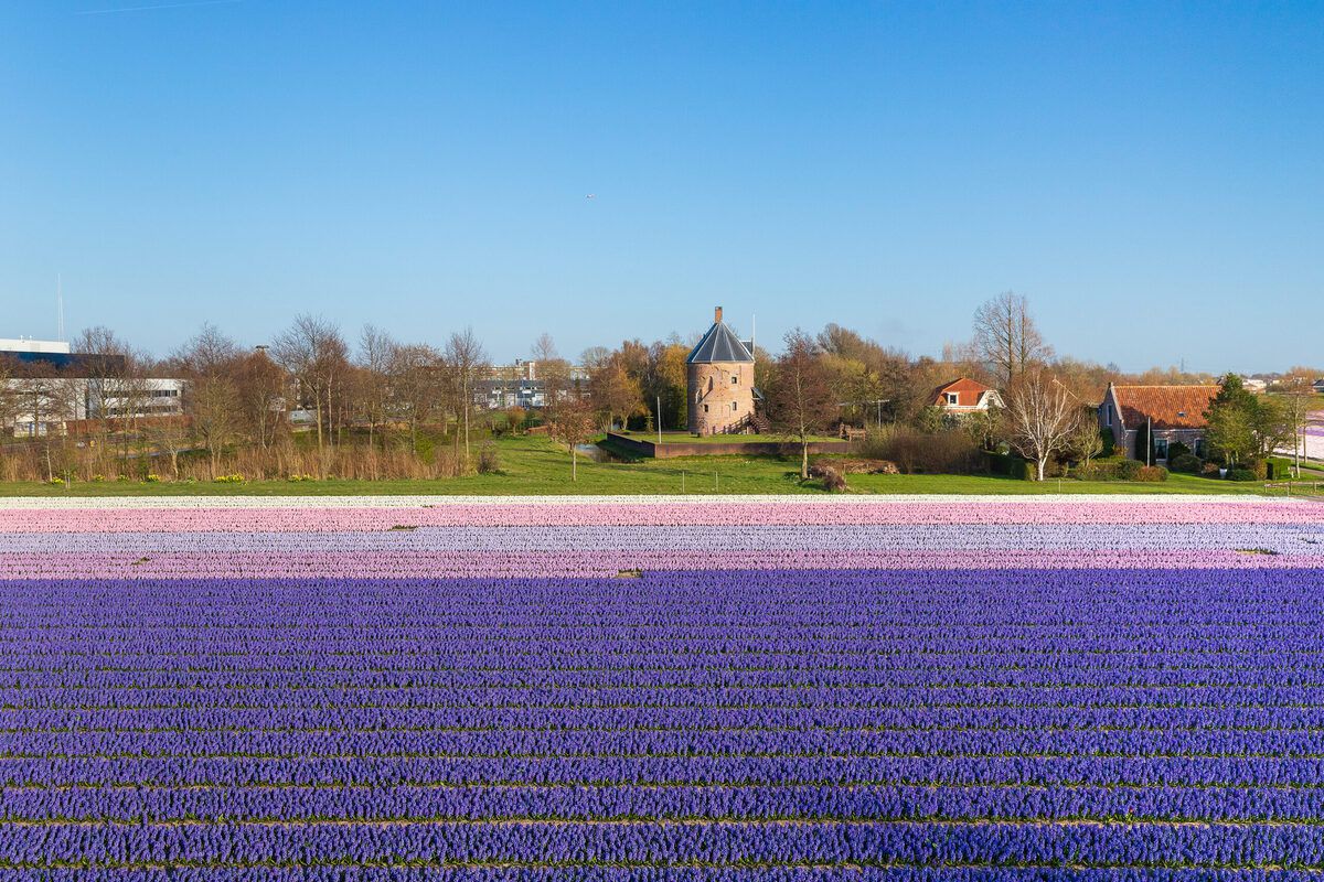 Achtergrondafbeelding